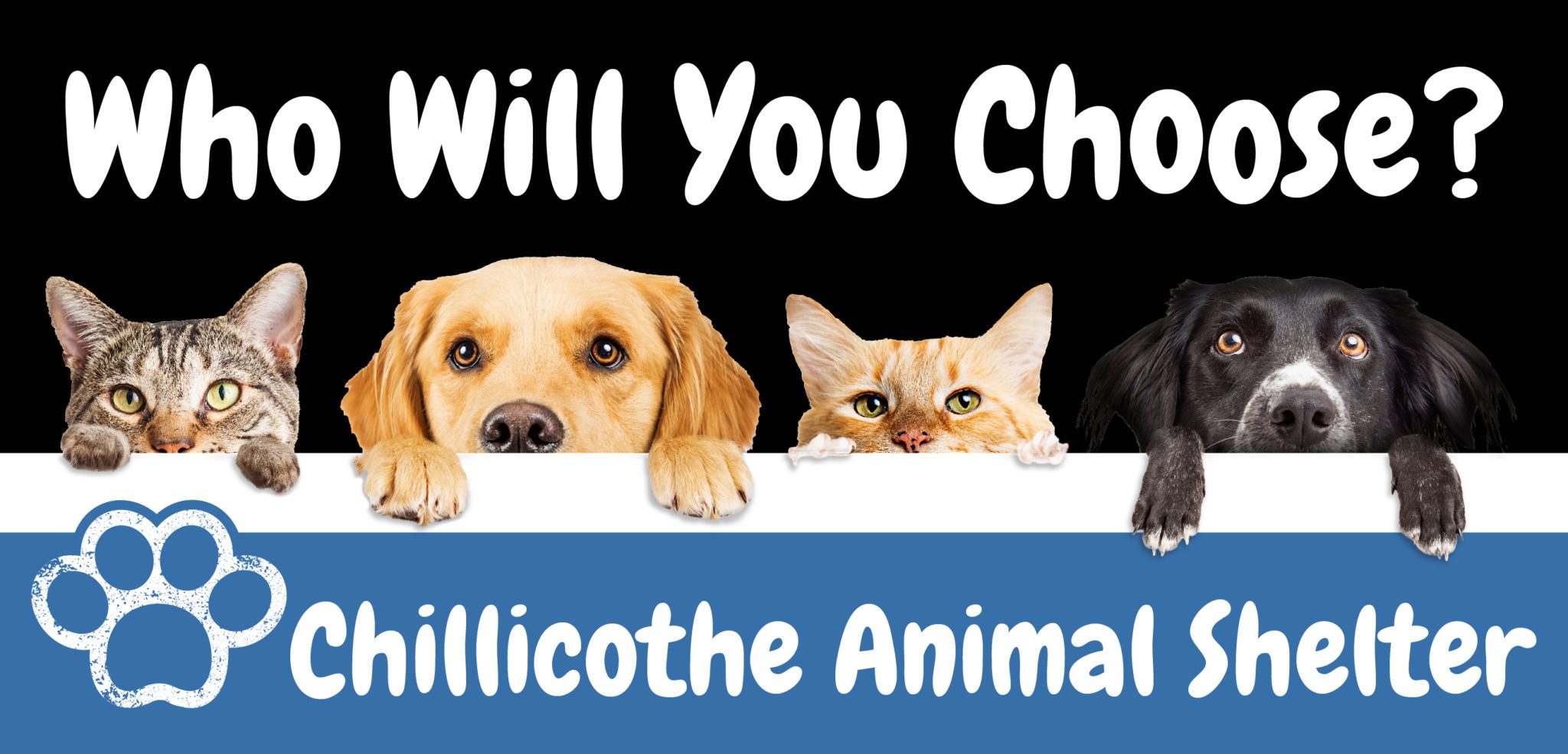Digital billboard ad for Chillicothe Animal Shelter